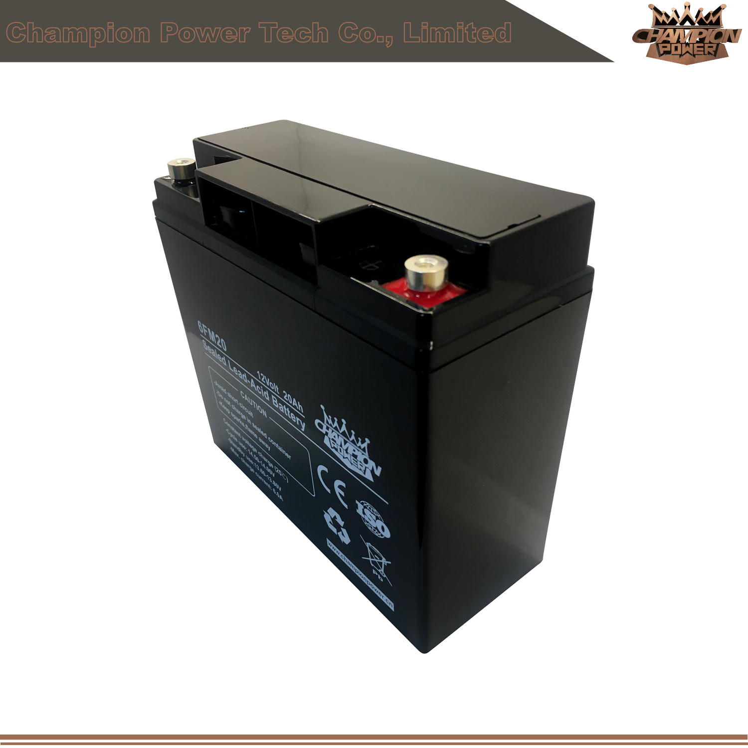 Batterie VRLA 12V22AH pour la tondeuse à gazon électrique