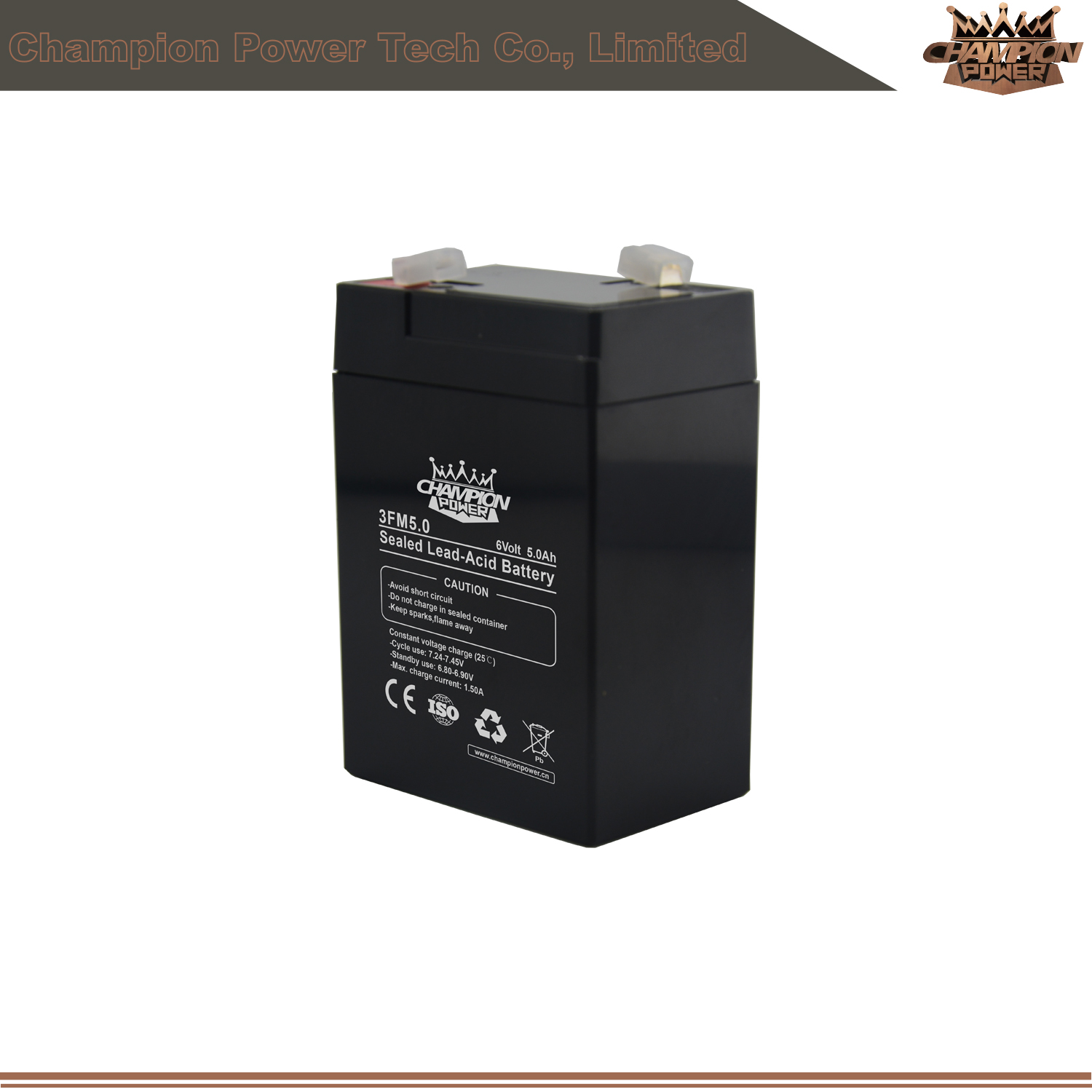 6V5Ah VRLA Battery Draw-Bar Haut-parleur